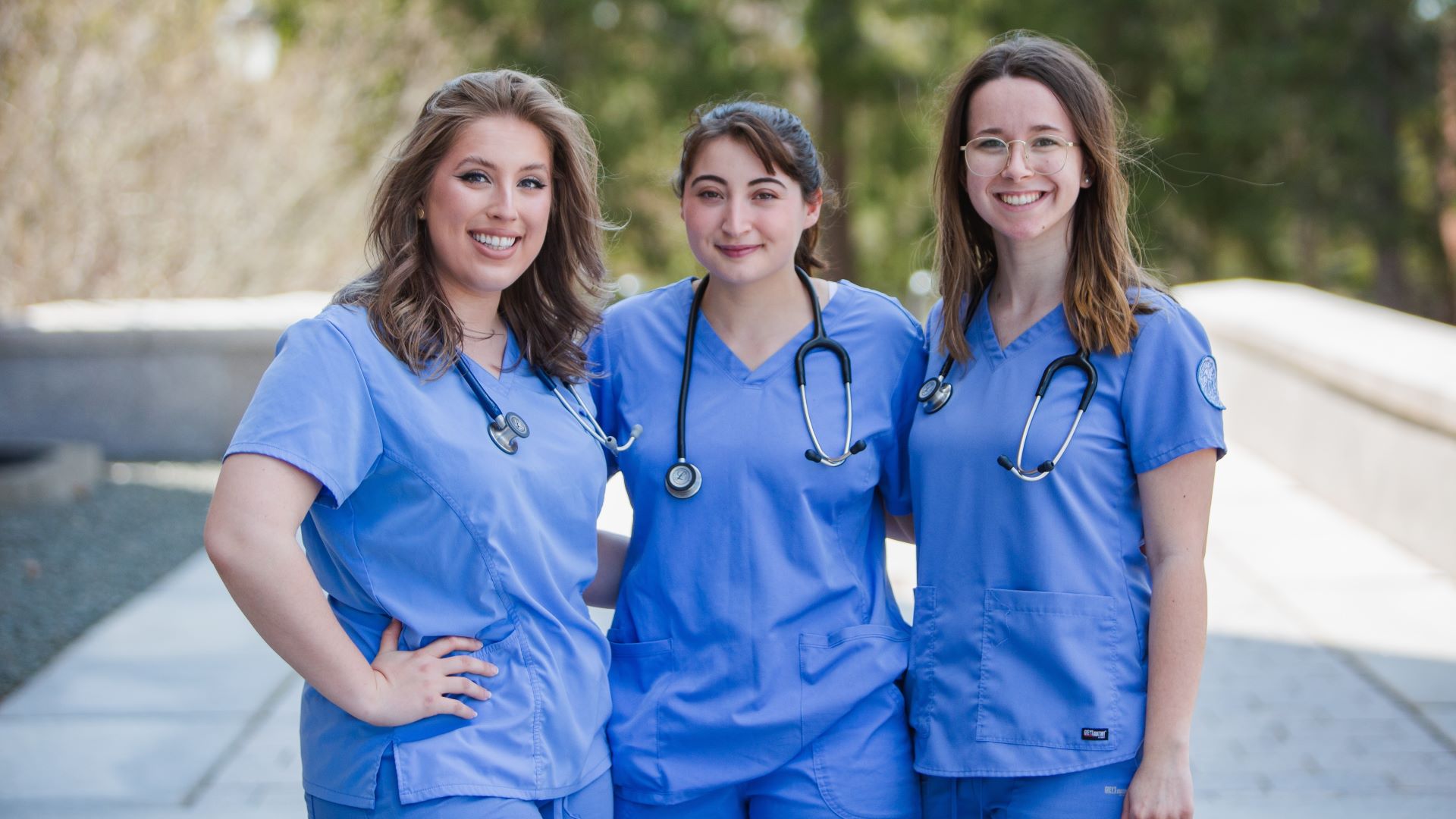 Unveiling the Worth and Utility of Nursing Check Banks in Fashionable Schooling