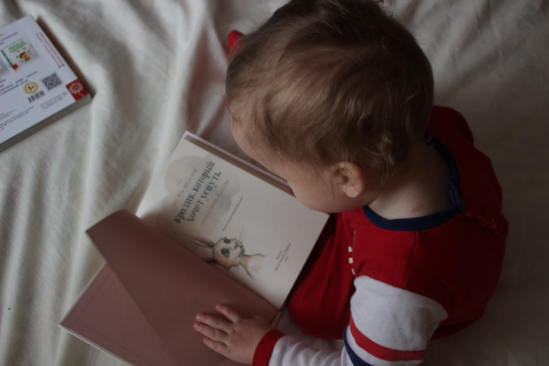 Ought to Your Toddler Be taught a Second Language?